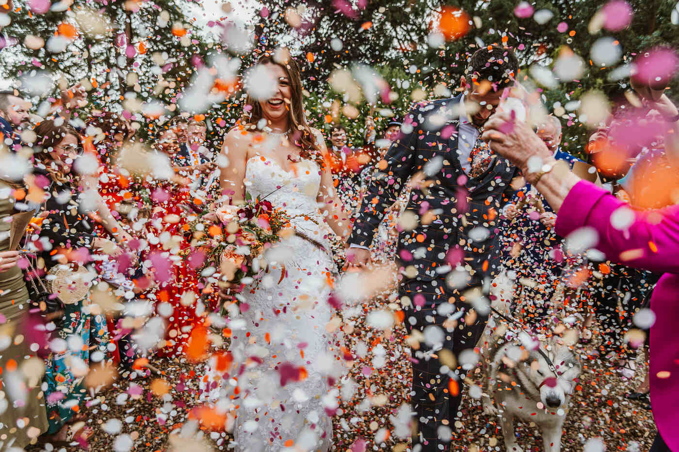 An incredible conffeti shot with many colours with a tiny husky hidden in the right corner thrown at a wedding at Holdsworth House | Holdsworth house wedding photographer