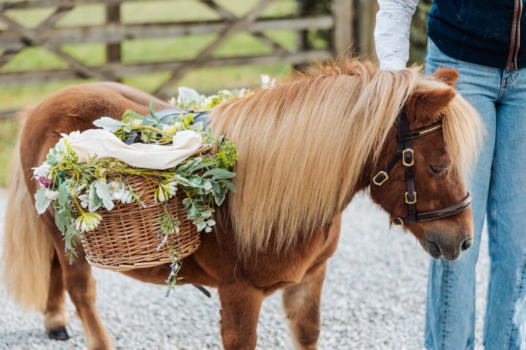 A Shetland pony with a flower crown and a wicker basket of confetti strapped to its back at Sedgewell Barn