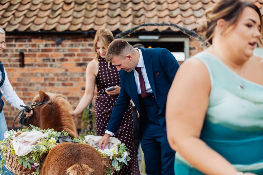 Guests taking confetti from the basket on the pony at Sedgewell Barn
